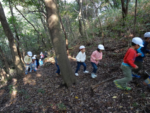 淡輪小学校１年生遠足サポート　　in　　うみべの森_c0108460_20535898.jpg