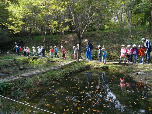 淡輪小学校１年生遠足サポート　　in　　うみべの森_c0108460_20542999.jpg