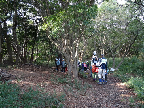 c0108460_20545921.jpg