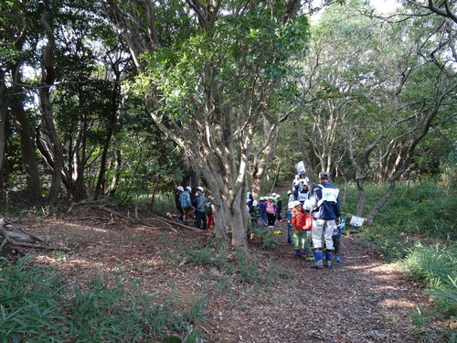 淡輪小学校１年生遠足サポート　　in　　うみべの森_c0108460_20545921.jpg