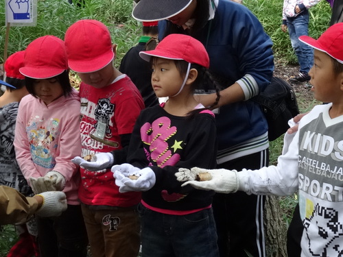 淡輪小学校１年生遠足サポート　　in　　うみべの森_c0108460_20562977.jpg