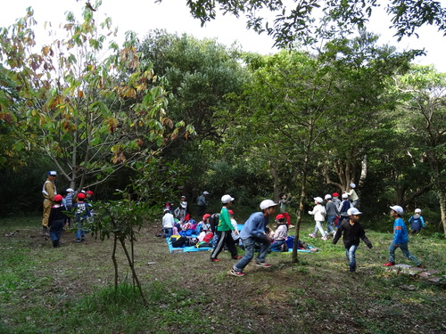 淡輪小学校１年生遠足サポート　　in　　うみべの森_c0108460_2127367.jpg