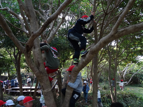 c0108460_21332558.jpg