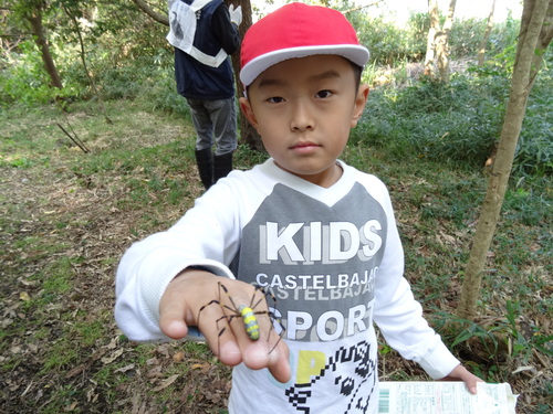 淡輪小学校１年生遠足サポート　　in　　うみべの森_c0108460_21374768.jpg