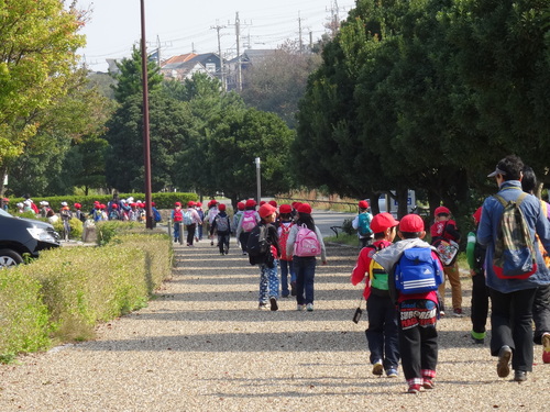 淡輪小学校１年生遠足サポート　　in　　うみべの森_c0108460_2139116.jpg