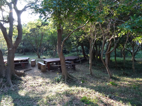 c0108460_23171564.jpg