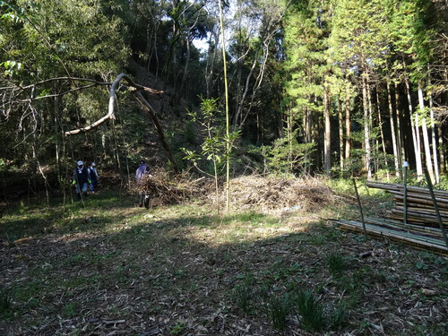 c0108460_23242270.jpg