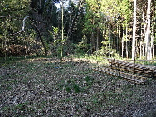 c0108460_2325748.jpg