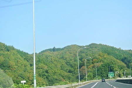 f0207664_9251262.jpg