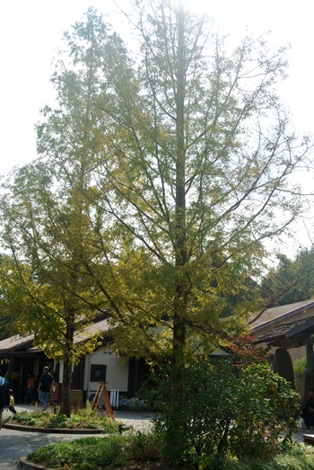 f0207664_9292593.jpg