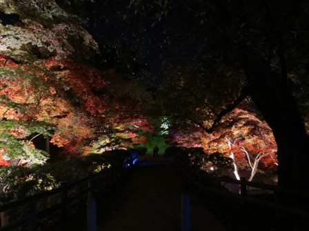 弘前公園の紅葉の様子です。【１１月５日（火）】_d0131668_18374820.jpg