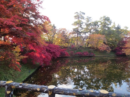 弘前公園の紅葉の様子です。【１１月５日（火）】_d0131668_18402317.jpg