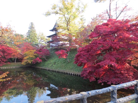 弘前公園の紅葉の様子です。【１１月５日（火）】_d0131668_18432384.jpg