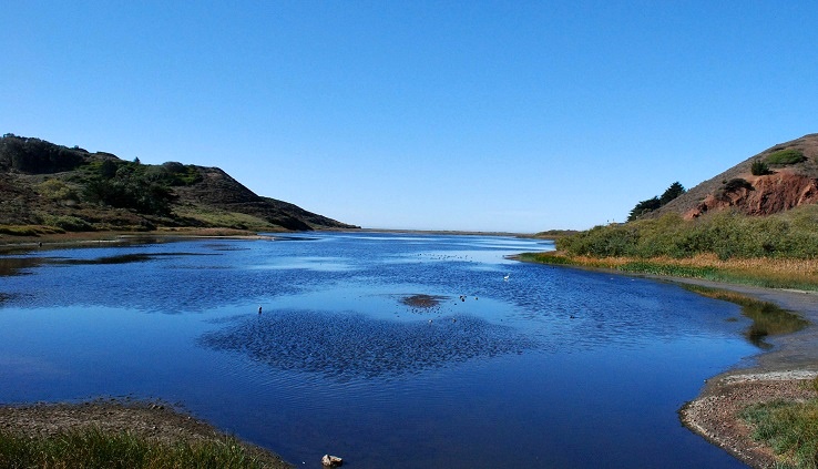 Rodeo Lagoon - Sausalito_a0126969_6563464.jpg