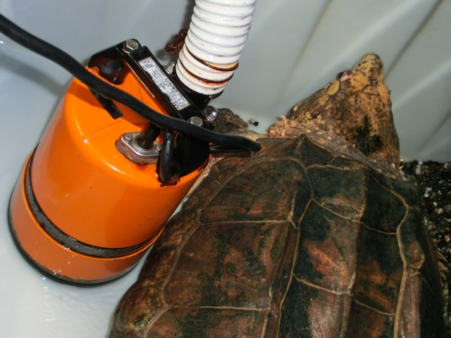 c0105569_0185493.jpg