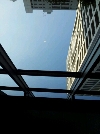 b0116271_15451040.jpg