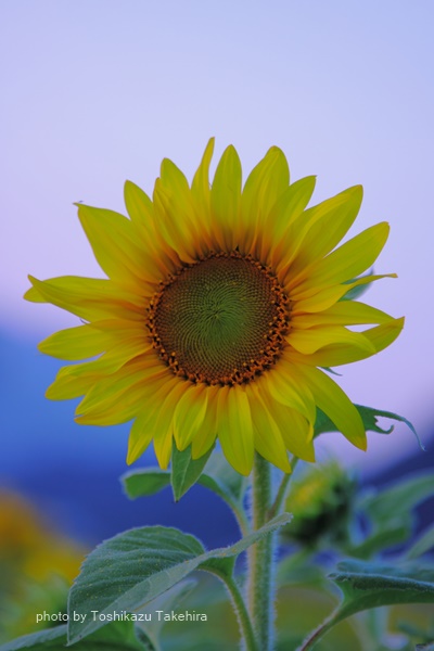 e0186477_1628299.jpg