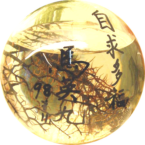 進擊的巨人_e0040579_68462.png