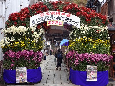 魚沼菊花展「浦佐きくまつり」_b0092684_1348496.jpg