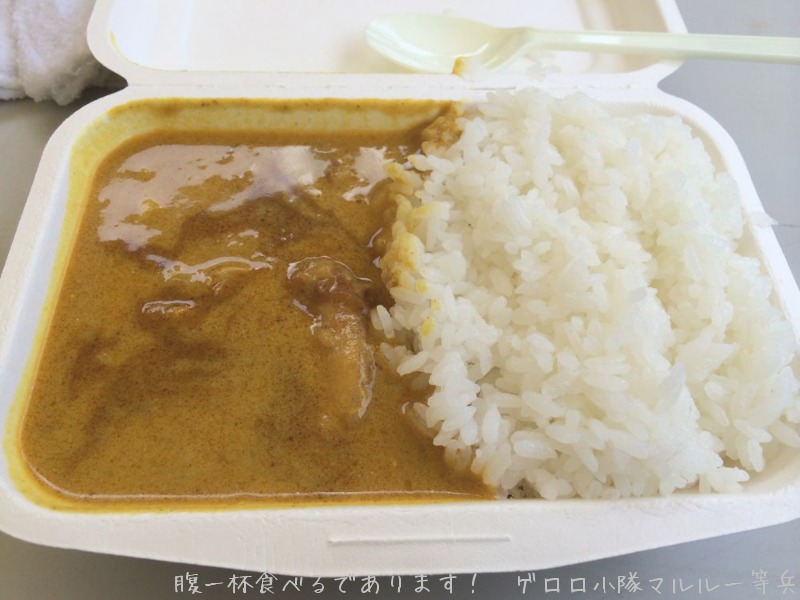 カレーを飲んだ一日。　神田カレーグランプリ＆神保町ブックフェス_b0098884_22231042.jpg