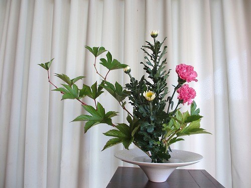 星のいけばな seica_観水型 今夜はりゅう座流星群が見頃らしいのですが、都内