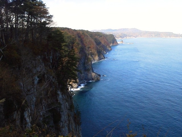 a0086885_17175134.jpg