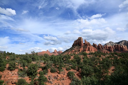 e0148185_68187.jpg