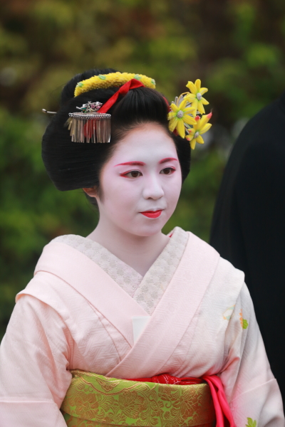 西陣きもの・帯フェスティバル~きもので集う園遊会~ 野点編_e0051888_2033244.jpg