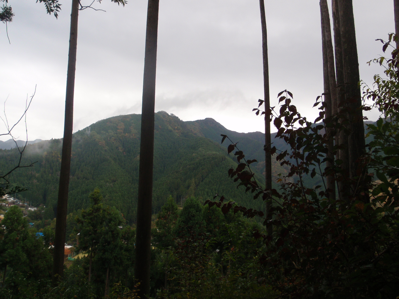 鴨沢バス停～七ツ石山～石尾根～奥多摩駅_d0034291_19271145.jpg