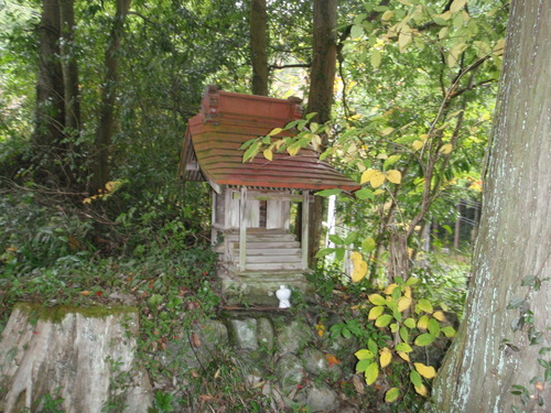 d0034291_19274410.jpg