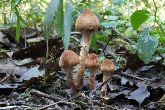 e0070891_2157169.jpg