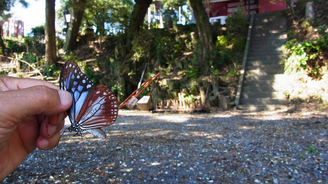 a0152692_18384265.jpg