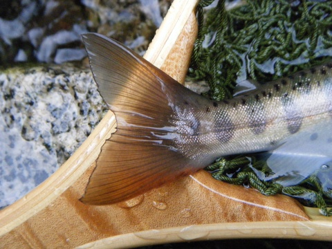 b0304294_2012015.jpg
