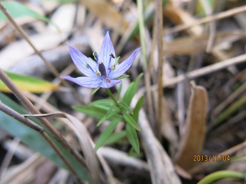 a0166196_21553391.jpg