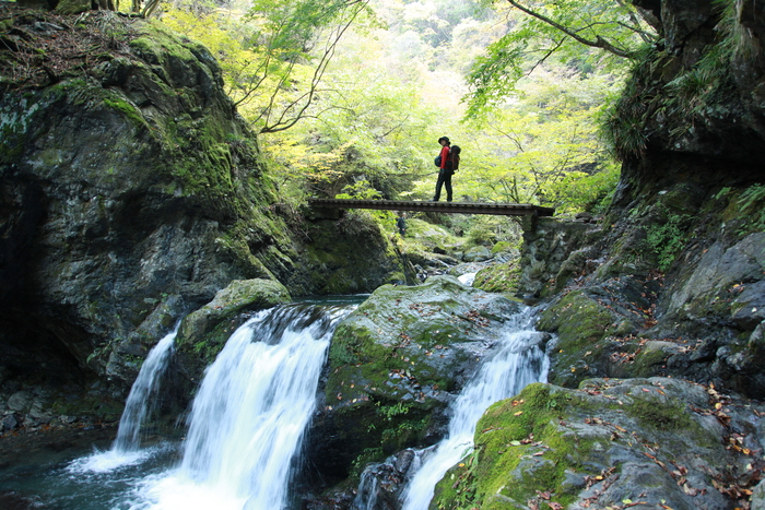 奥多摩の秋を探しに＠川苔山　　　　　2013.11.2(土)_c0213096_17291793.jpg