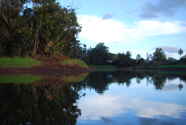 f0210098_013845.jpg
