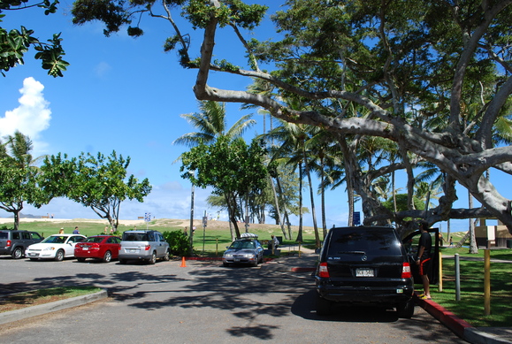 f0210098_1583340.jpg