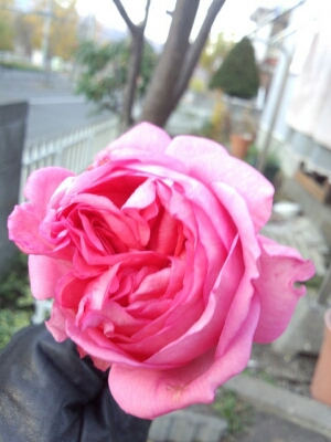 f0310599_21403664.jpg