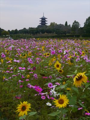 f0141700_21143315.jpg