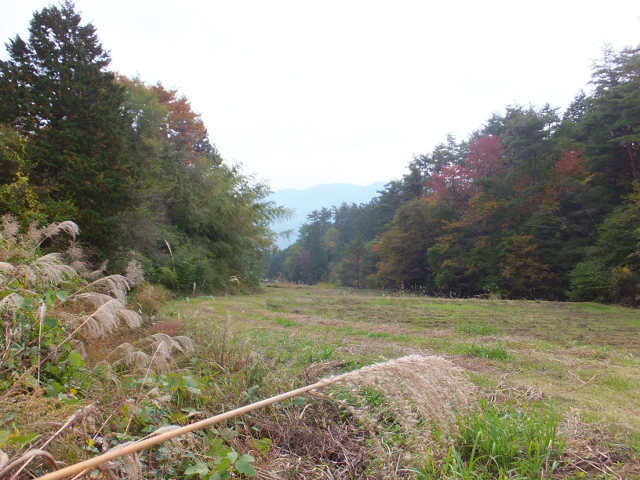a0271502_16435829.jpg