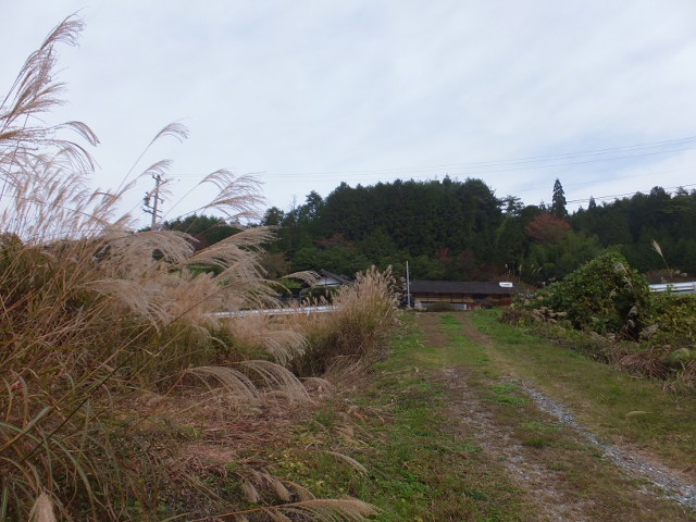 a0271502_16451077.jpg