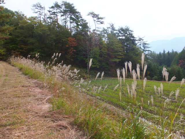 a0271502_16542314.jpg