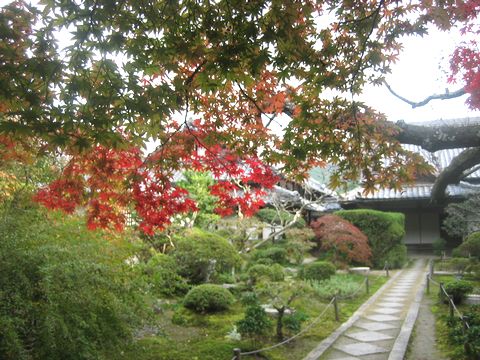 a0276402_15242645.jpg