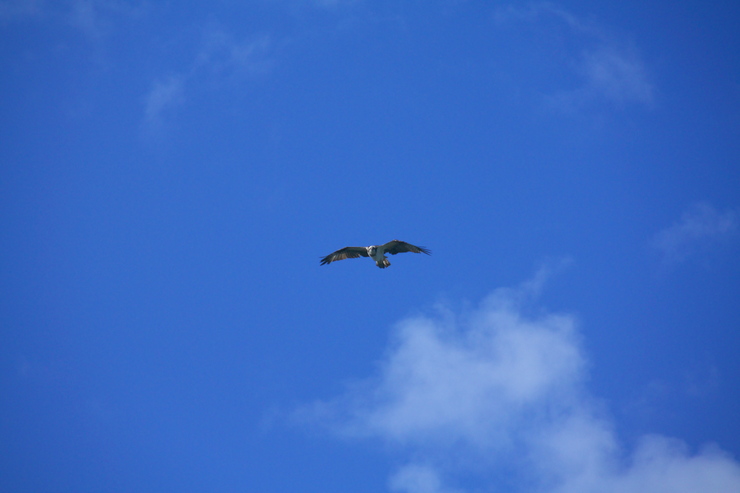 b0174905_7453851.jpg
