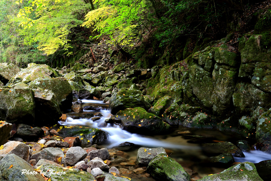 a0097006_18434033.jpg