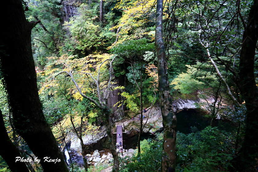 a0097006_18453998.jpg