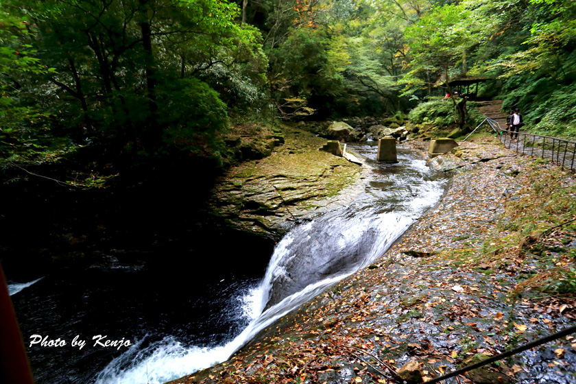 a0097006_18465976.jpg