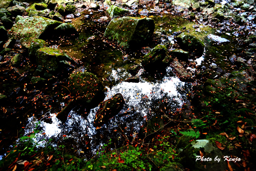 a0097006_18481437.jpg
