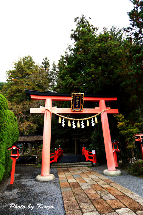 a0097006_2220269.jpg
