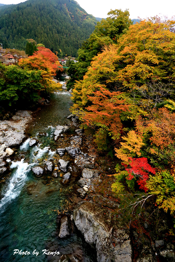 a0097006_22273332.jpg